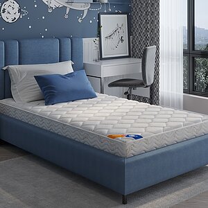 ������ ������� �����