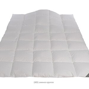 ������ Johann Hefel Arlberg WD, ������