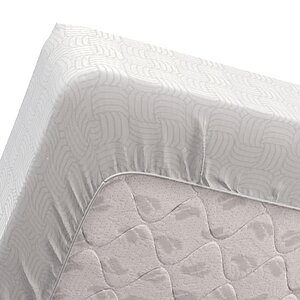 �����������-����� Dimax ������ �������� � ���� 684 �. � ����������