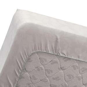 �����������-����� Dimax ������ �������� ���� � ����������