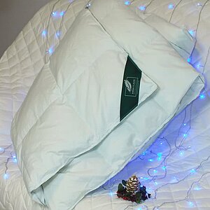 ������ Anna Flaum Eis, ������ � ���� 27930 �. � ���