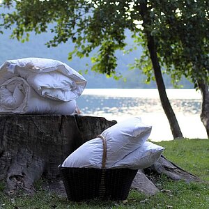 ������� ������� Daunex Aria 50, ������� � ��� � 54 �������