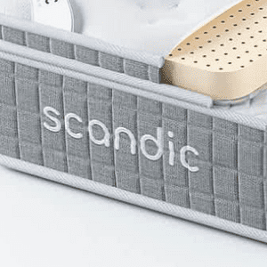 �����: ������� �� ������� ������� Scandic
