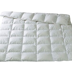 ������ Dorbena Premium Tencel Silver Complit QQQ, �������