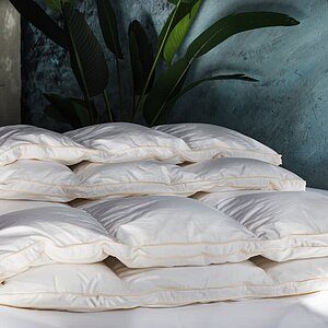 ������ German Grass Queen Down Grass, ������