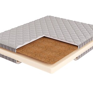 BeautyRoll Roll Foam 14 Cocos