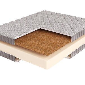 BeautyRoll Roll Foam 21 Cocos