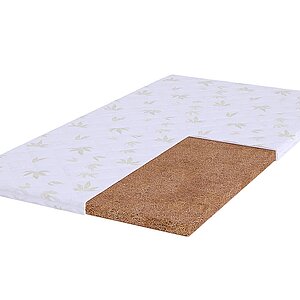 ������ BeautySon Cocos 3