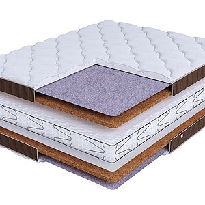 BeautySon Life Cocos S1200