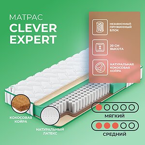 Clever Expert