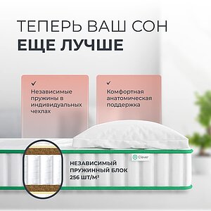 ������ Clever Force Firm