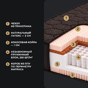 ������ Clever Grand TFK