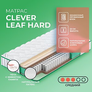 Clever Leaf Hard