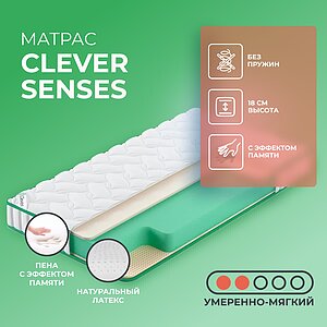 Clever Senses