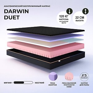 Darwin Duet