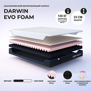 Darwin Evo Foam