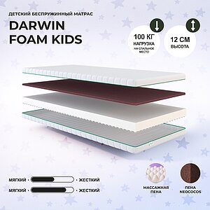 Darwin Foam Kids