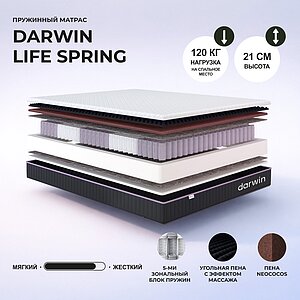 Darwin Life Spring