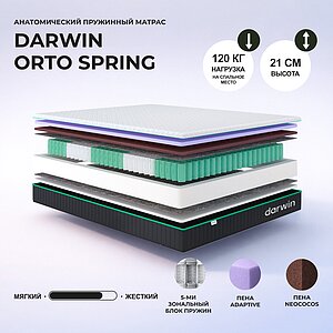 Darwin Orto Spring