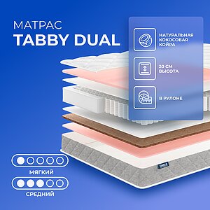 Tabby Dual