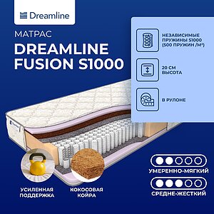 DreamLine Fusion S1000