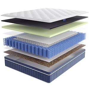 Lineaflex Bartolomeo