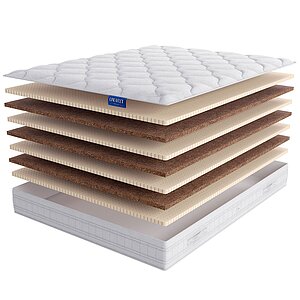 Lineaflex Lotos