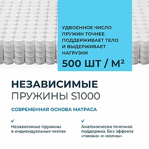 ������ Lonax Desco S1000