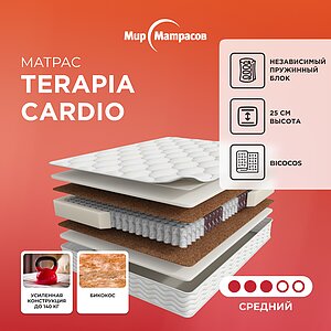 Terapia Cardio