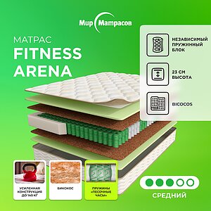Fitness Arena