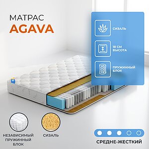 ������� Agava