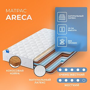 ������� Areca