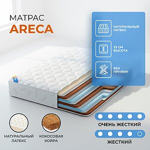������� Areca