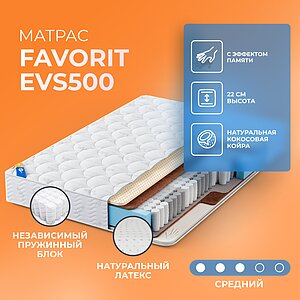  Favorit EVS500