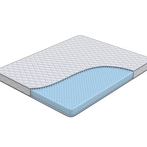  Flex Basic M