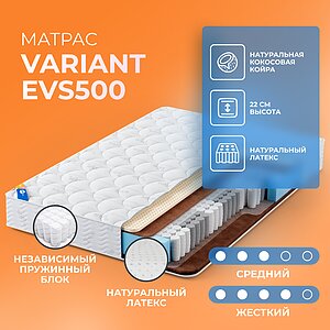  Variant EVS500