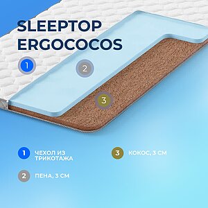  Sleepline SleepTop ErgoCocos