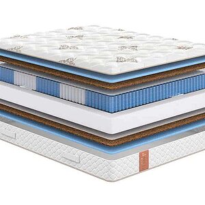 Sonum Eco Middle