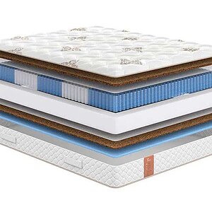 Sonum Eco Optima