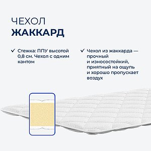 ������ TabbyRoll 8