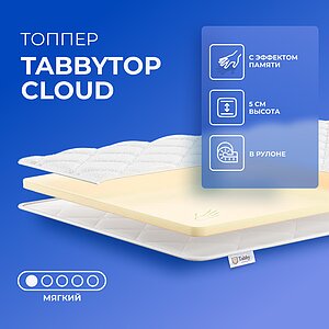 ������ TabbyTop Cloud