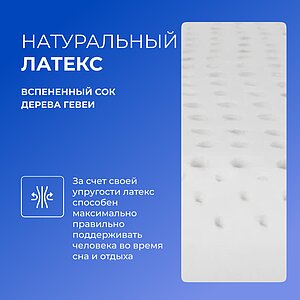 ������ TabbyTop Rest � ������ ������