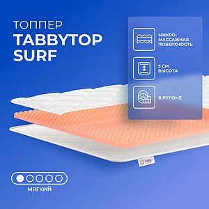 ������ TabbyTop Surf