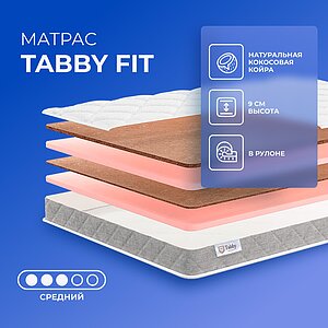 Tabby Fit