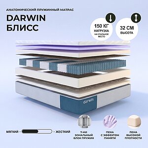 Darwin Bliss