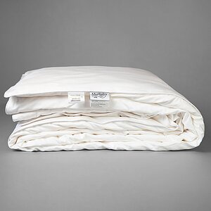 �������� ������ Mulbaby ������