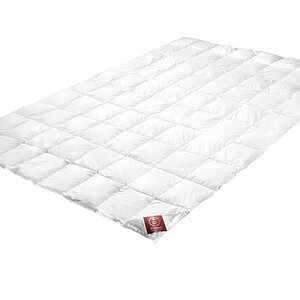 ������ Brinkhaus Carat, ������