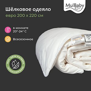 �������� ������ Mulbaby ����������� � ����������� ���� � 29 ��������