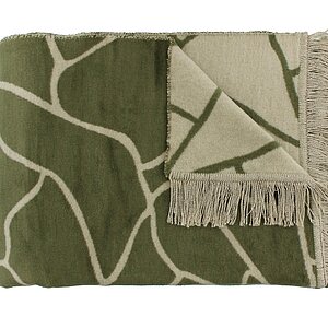 ���� Claudi Lineas Olive