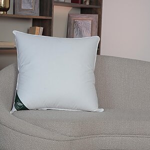 ������� Anna Flaum�Schnee, ������� 70�70 ��